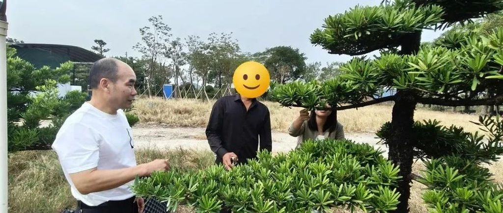 阿清的 “重生密码”：在创业奋斗与履行责任中收获人生价值